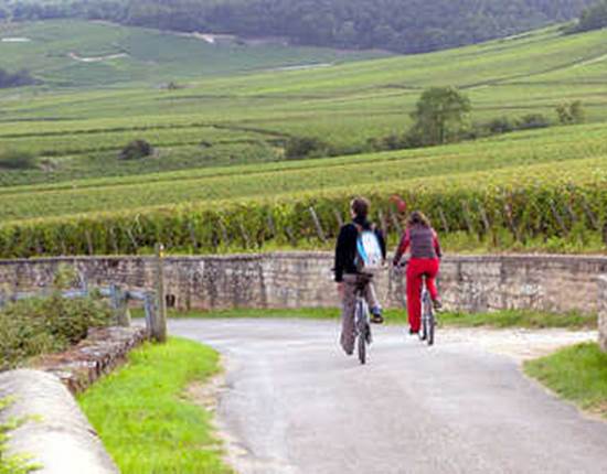 velos-vignoble_photo-alain-doire_bourgogne-tourisme_0