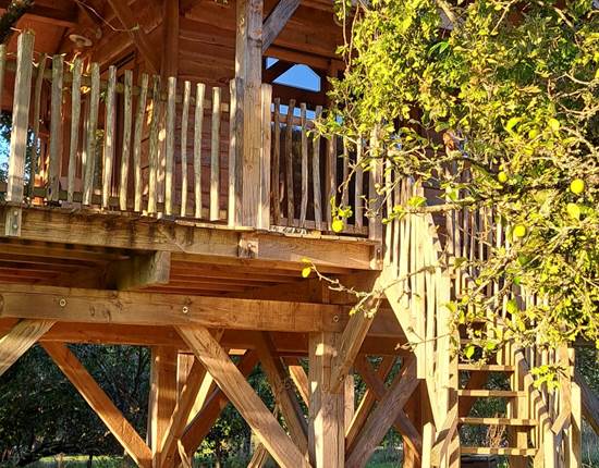 2 Petite Cabane ext