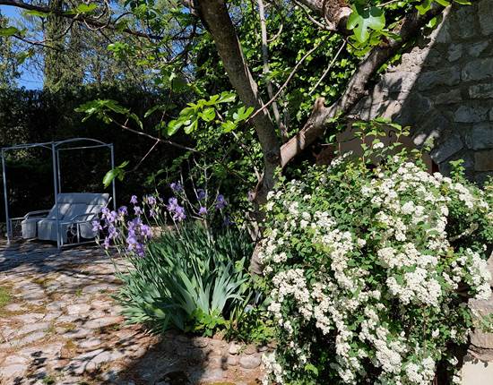 Jardin