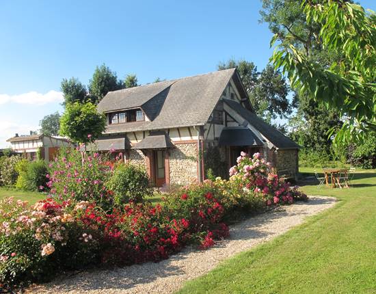 Jardin rosiers - Gîte du Petit Coq - aux3nidsfleuris