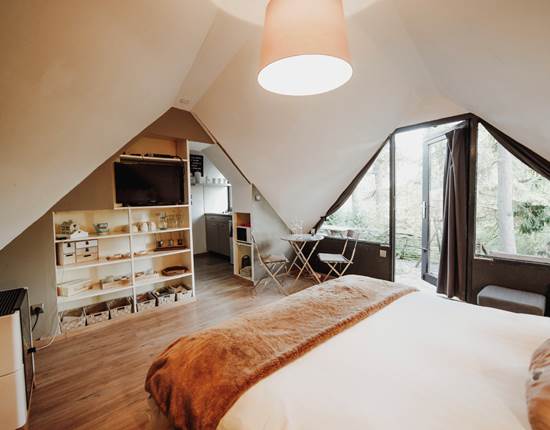 Vue générale de la chambre