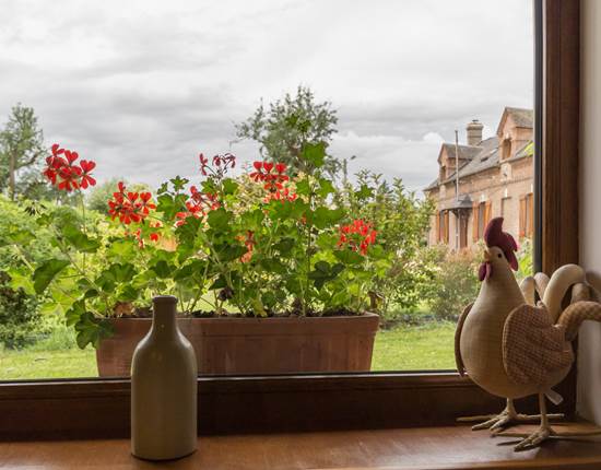 Gîte du Petit Coq - aux3nidsfleuris