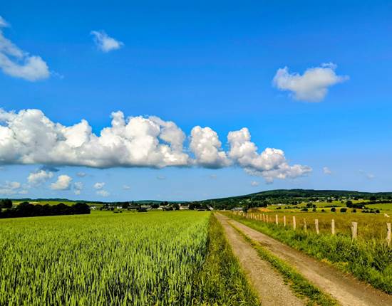 brasovert_gite_ardenne48
