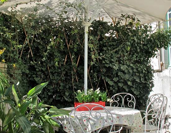 terrasse fleurie