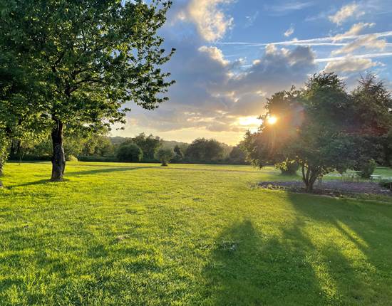 Grand parc arboré coucher de soleil