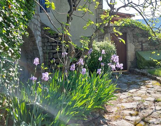 Jardin