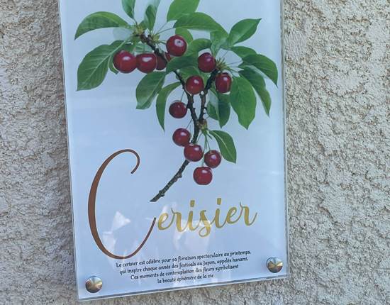 CERISIER PLAQUE