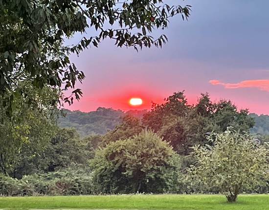 Coucher de soleil sur le parc 18 sept 2024