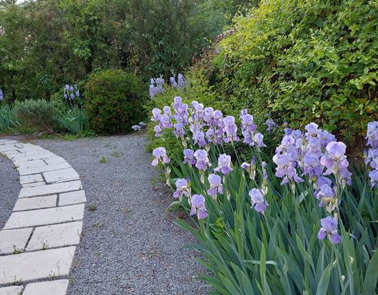 Jardin