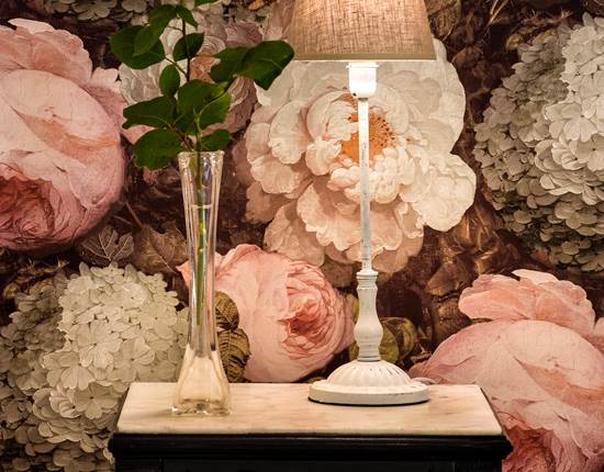 aufildeleau-cotentin-val de Saire-chambre d'hôtes hortensia