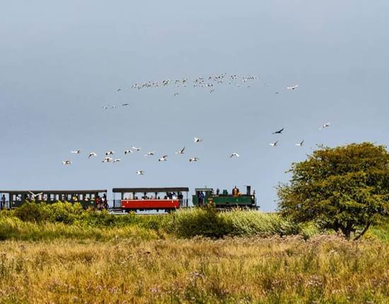 Petit train Baie de Somme Gites La Baie des Remparts France