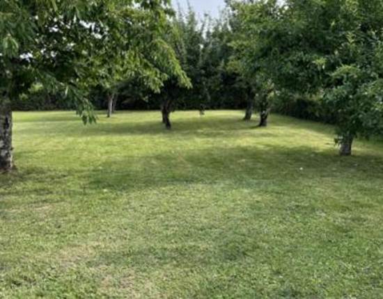 Espace pelouse