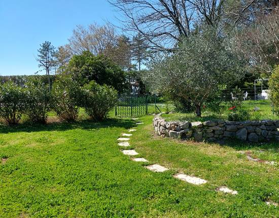 jardin