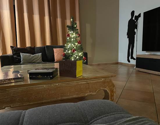 Salon cosy pour Noel aussi