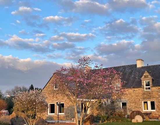 Maison et arbres en fleurs mars 2025