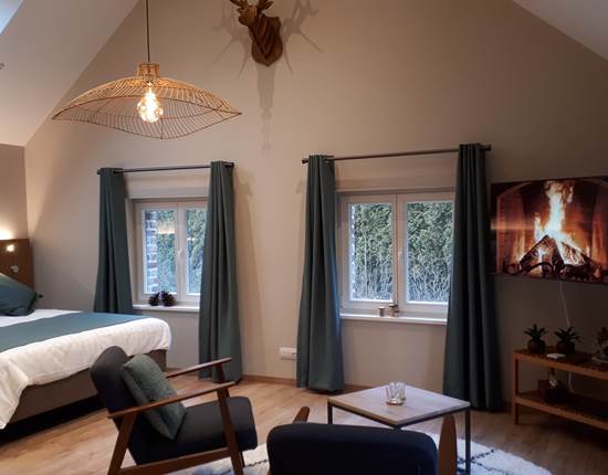 vue générale chambre forêt