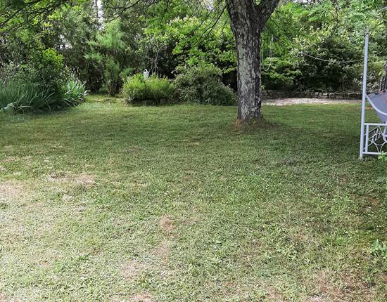Jardin