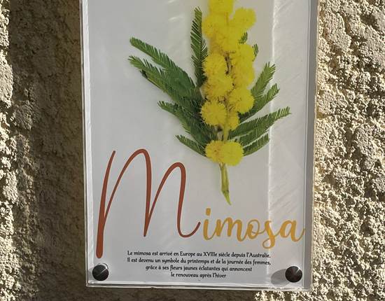 MIMOSA PLAQUE