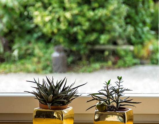 aufildeleau-cotentin-val de Saire-chambre d'hôtes