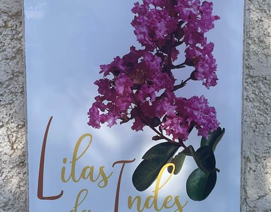 LILAS PLAQUE 1