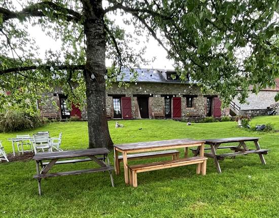 Profiter ensemble sous l'ombre des  saules