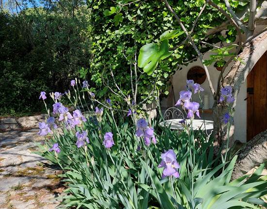 Jardin
