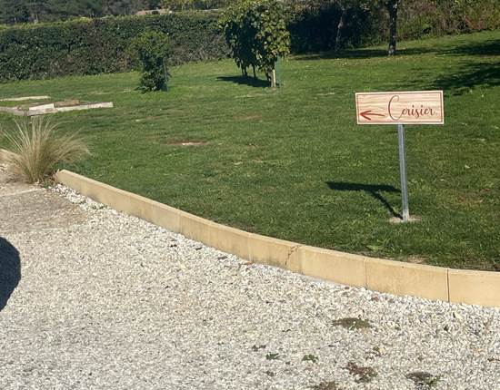 Cerisier jardin