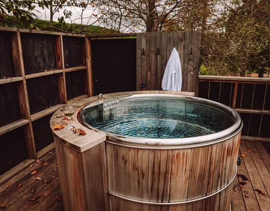 ICI-086 bain