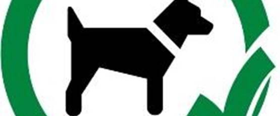 Chiens-admis