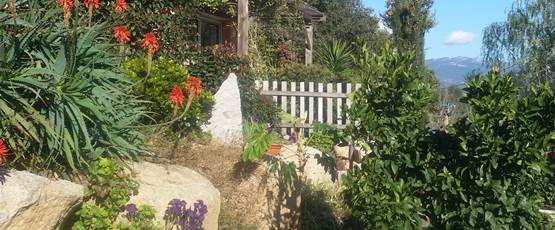 Le jardin de "LA ESCALA"