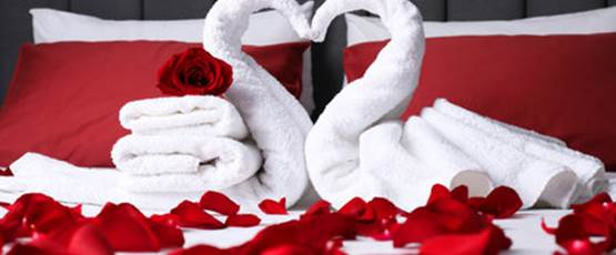 230242263-honeymoon-swans-made-with-towels-and-beautiful-rose-petals-on-bed