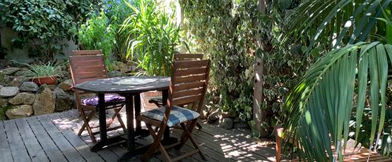 La terrasse est ombragée par une grande glycine