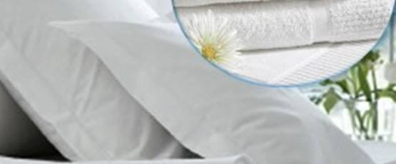 serviettes