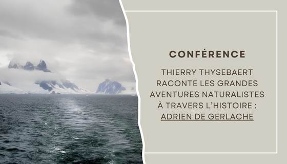 Dimanche 2102