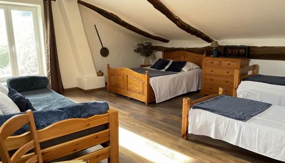ombrebleuedufigfuier-chambre-châtaigne 1