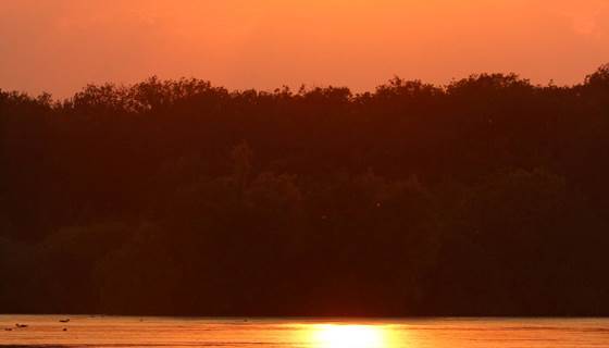 crépuscule sauvage