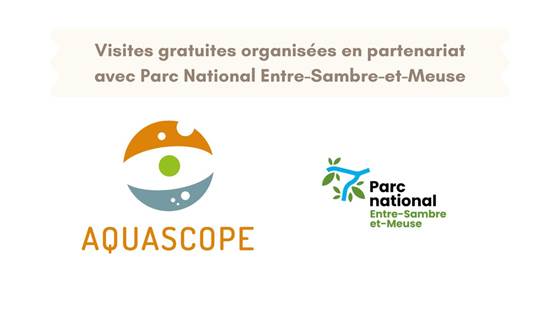 Montage visites PN ESEM