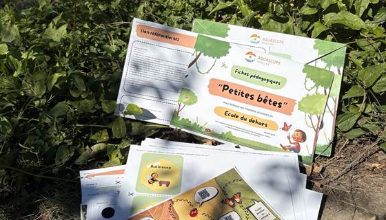 Carnet découverte
