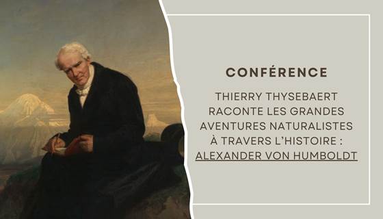 Dimanche 1312
