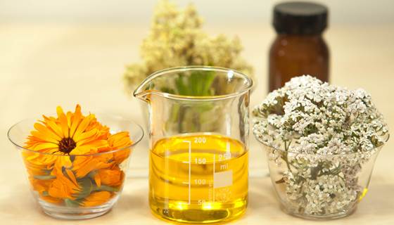 plant-flower-food-herb-produce-beaker-571137-pxhere