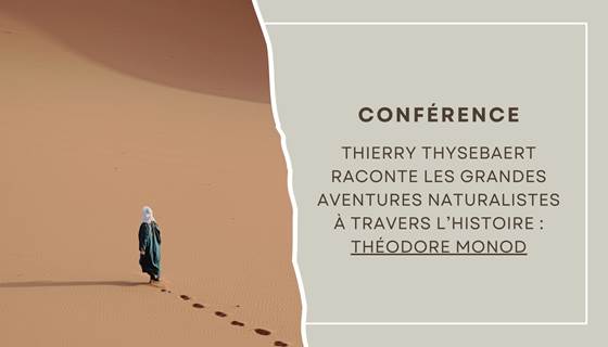 Dimanche 1403