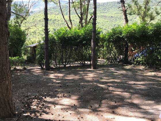 exemple d'emplacement ombragé