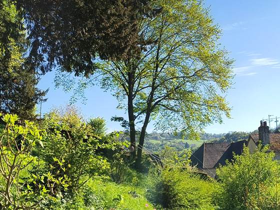 Horizon depuis le jardin