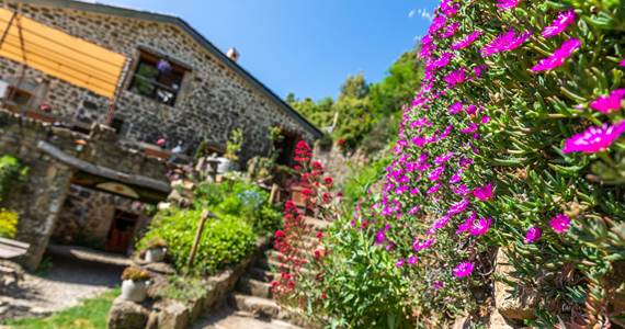 immobilier-la-calade-6574-md-srvb.jpg