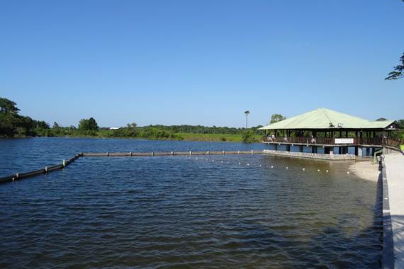 La Mangrove