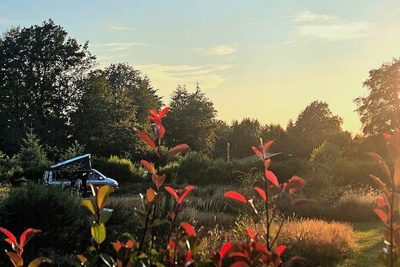 Le Ranch Camping et Glamping