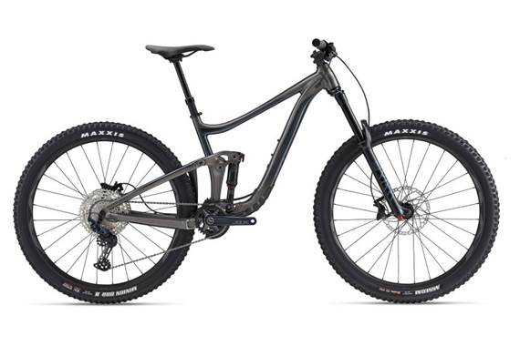 Giant Reign 29