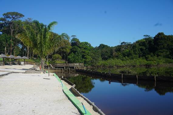 La Mangrove