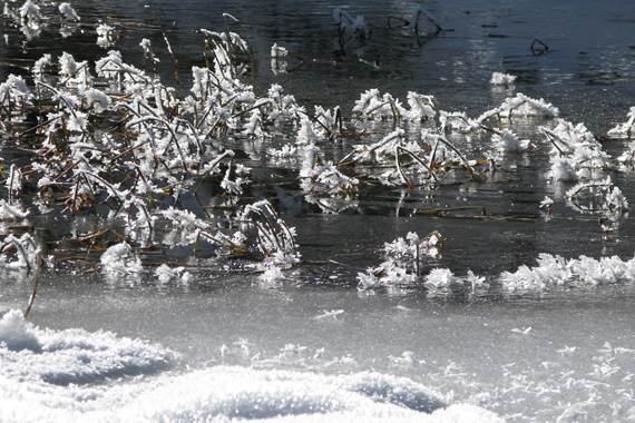 Lac gelé en hiver