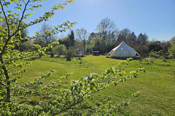 Tipi